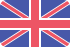 Selected language: en